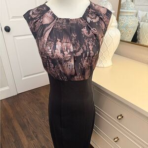 Ted Baker Dress-S12